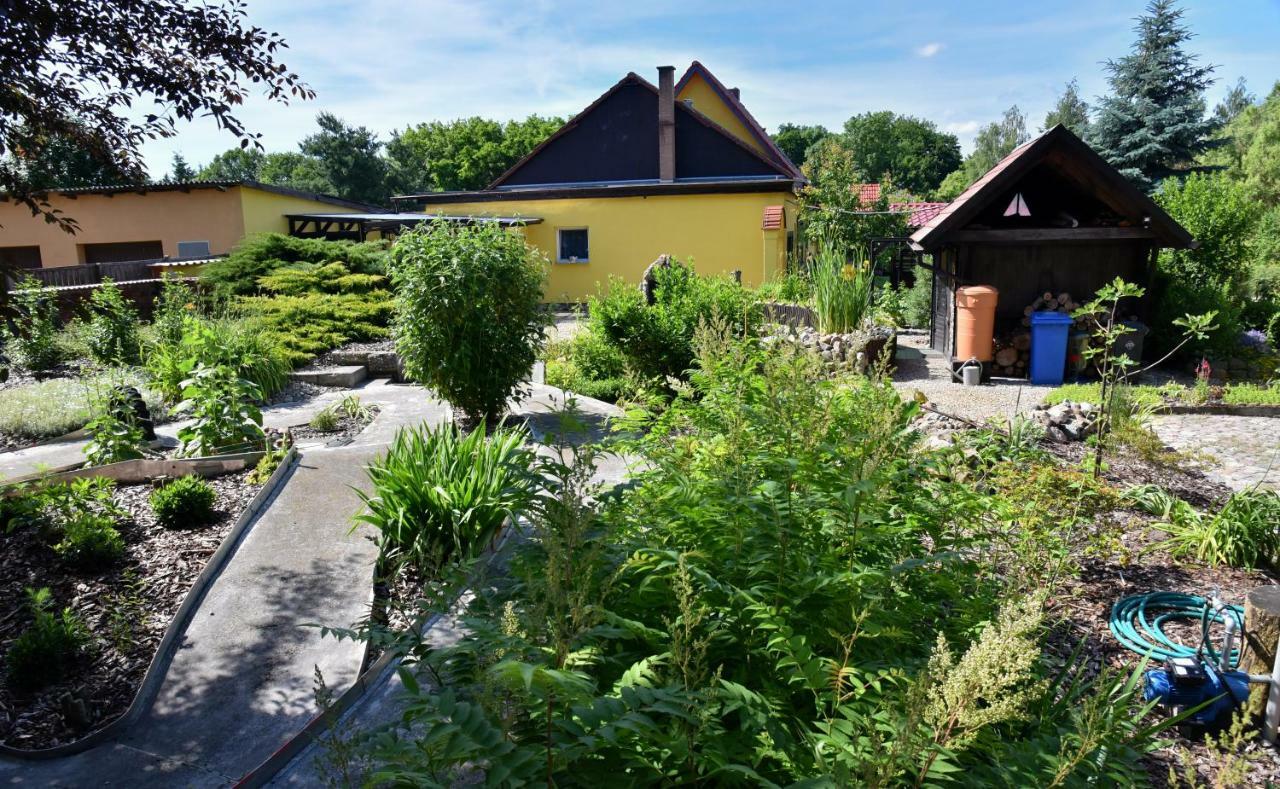 Ferienhaus "Am Gutspark" Alt Tucheband Eksteriør billede